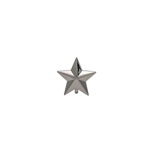 SPINNABLE STAR BUCKLE